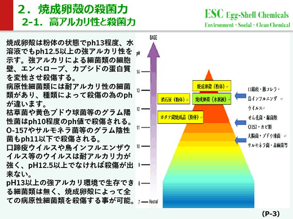 焼成卵殻（ランランバスター）について